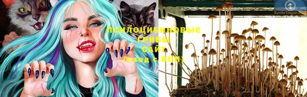 стаф Фёдоровский