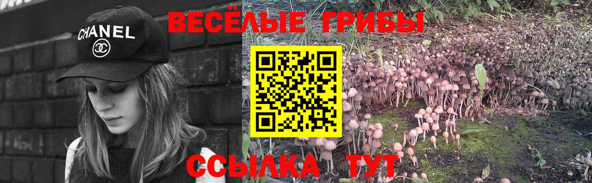 Галлюциногенные грибы Magic Shrooms  Югорск 