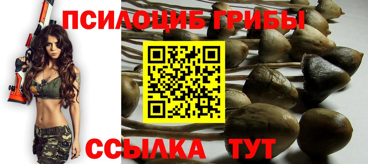 Югорск  Галлюциногенные грибы Psilocybine cubensis  Псилоцибиновые грибы ЛСД  Вход с VPN 